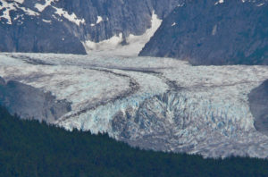 Glaciers on a Juneau Whale Watching Trip