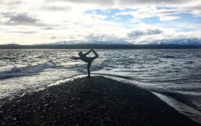 Day to Day Shelter Island