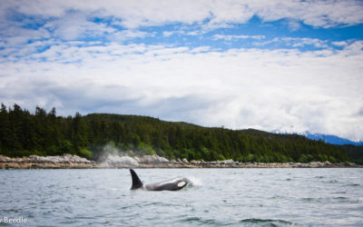 Photography Trip #3 “…we saw an incredible amount of amazing things that day…”