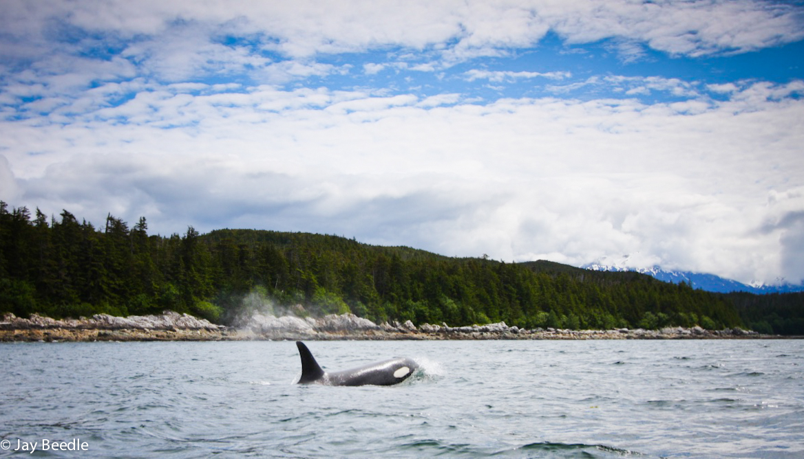 Photography Trip #3 “…we saw an incredible amount of amazing things that day…”