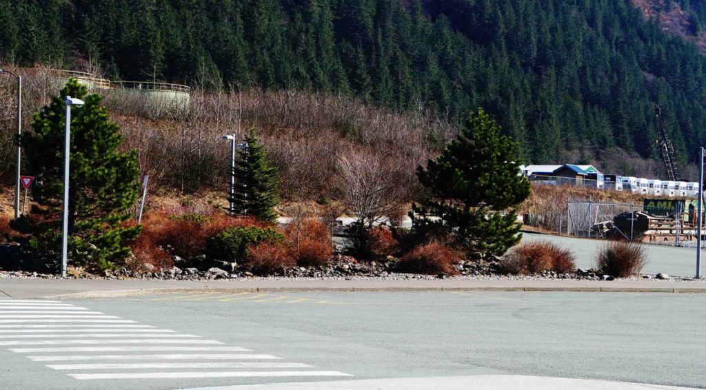 Meeting Location Information & Photos Jayleen's Alaska Juneau Whale