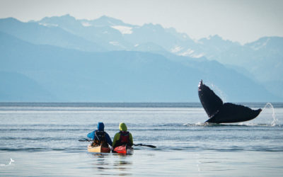 We got featured! 14 Most Unforgettable Things to Do in Juneau, Alaska